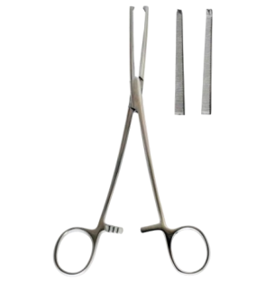 Kocher Forceps